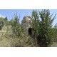 PRESTIGIOUS PALAZZO NOBILIARE IN THE COUNTRYSIDE FOR SALE IN FERMO SURROUNDING THE WONDERFUL 1800 IN PANORAMIC POSITION in the Marche region in Italy in Le Marche_18